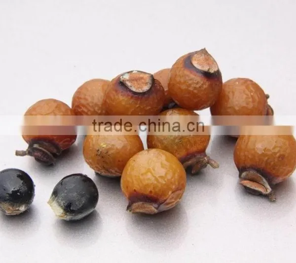Taiwan Made High Quality Natural Sapindales Soap photo-3