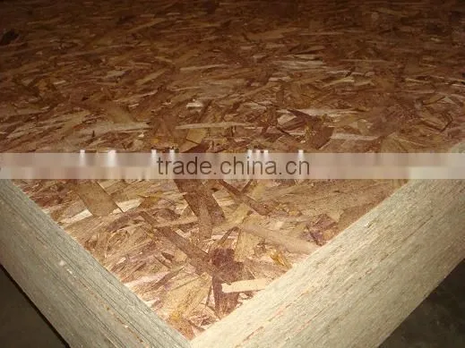 Poplar OSB photo-2