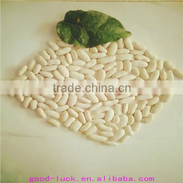 White Kidney Beans (heilongjiang) photo-5