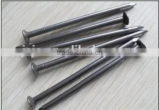 Low Factory Price Common Nail photo-2