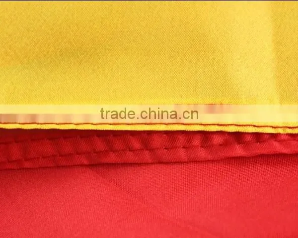 Professional Large Screen Printed Custom Flags photo-4