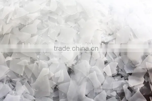 Commerical 5 Ton Ice Making Machine for Fishery and Aquatic Food Processing