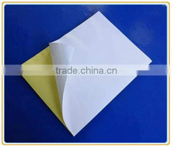 Plastic Clean Room Washable Silicon Tacky Roller photo-6