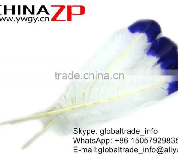 CHINAZP Factory Cheap Wholesale Feather Size From 30cm to 35cm Dyed Blue Half Dipped Bicolourable Turkey Rounds Wing Feathers photo-2