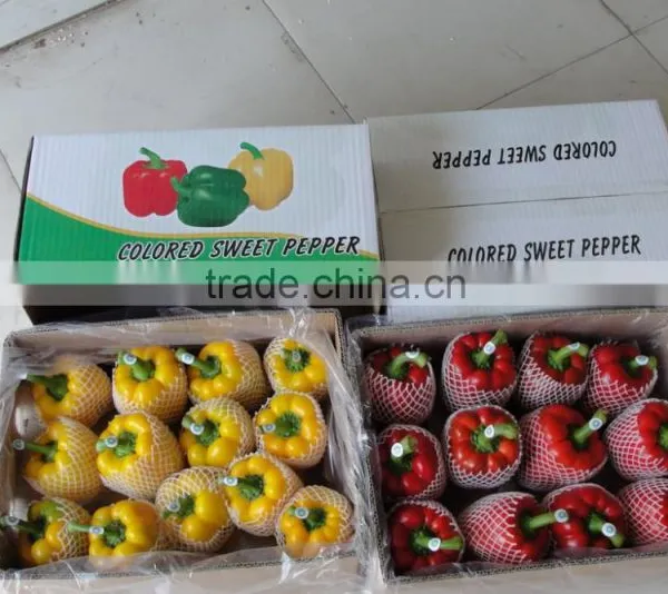 Fresh Mix Vegetable From All China Around photo-3