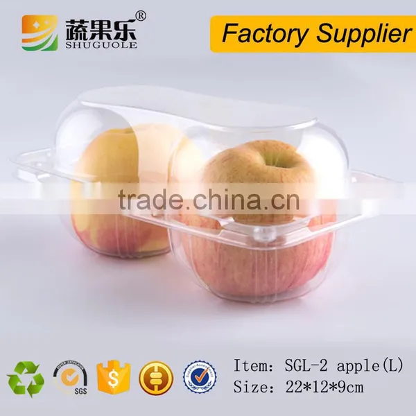 Customized Apple Fruit Packaging Box With 2 Cells photo-2