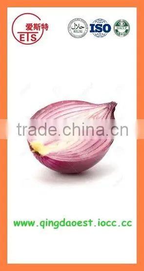 Chinese Export Best Quality Products Fresh Red Yellow Onion photo-4