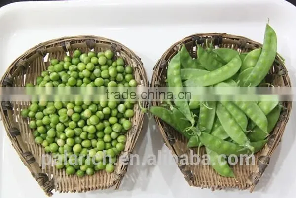 Dried Green Pea photo-4
