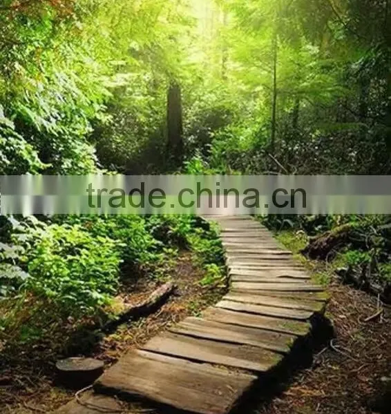Garden Landscape photo-4