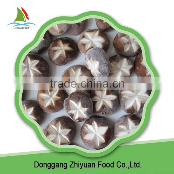 High Quality Frozen Shiitake Best Sell And Low Price photo-4