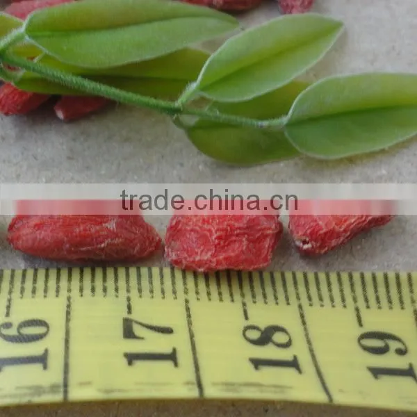 New Chinese Ningxia Top Grade Quality Dried Goji Berries,500 Pcs/50g photo-5