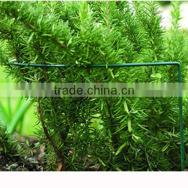 Garden Wire Planting Tomato Supports photo-3