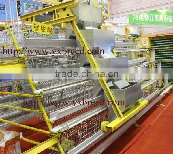 Poultry Farming Equipment for Poultry Farm