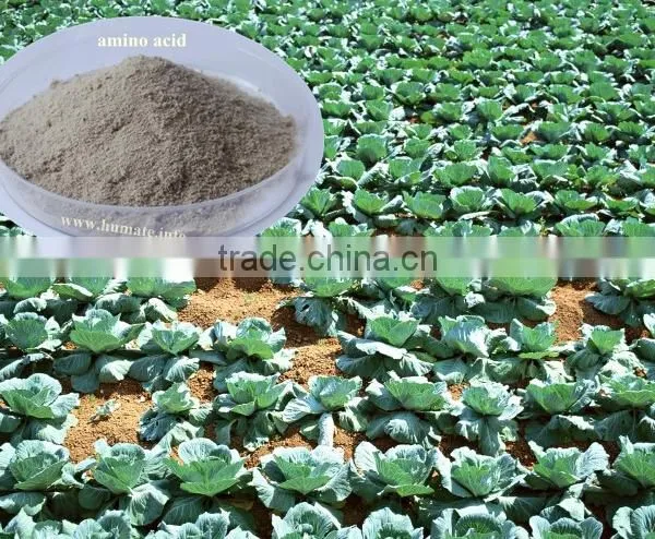 Honganyuan Compound Amino Acid / Soya Bean Extract Amino Acid Powder photo-2