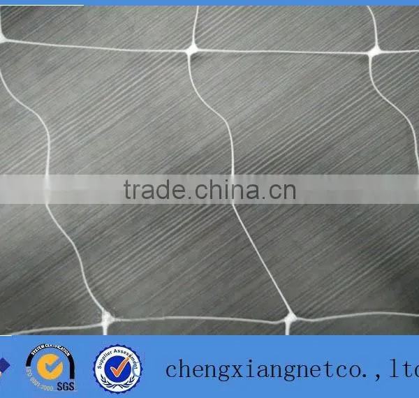 Plant Cucumber Support Netting photo-2