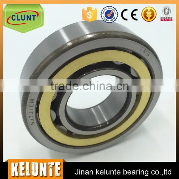 Shower Door Hardware Bearing Cylindrical Roller Bearing Nup309en Bearing