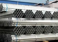 Bottom Price Galvanized Steel Pipe