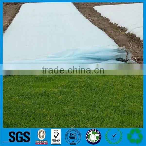 PP Spunbond Nonwoven Vegetable Garden Covers Vegetation Cover Ground Cover Fabric Suppliers photo-5