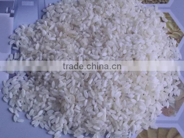 Top Grade Hotsell Artificial Rice Food Extruder Machine photo-3