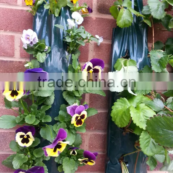 Pots Flower Planter photo-5