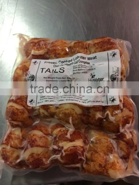 Lobster Meat and Whole Lobster Tail Meat photo-2