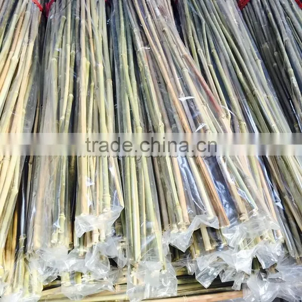 Excellent Quality Factory Price Garden Bamboo Canes for Sale photo-6