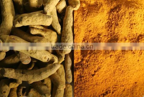 Curcuma Longa Extract photo-4