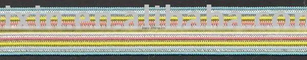 Elastic Webbing