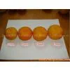 Mandarin Orange