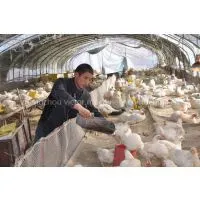 Best Sale Price Cattle Feed Pellet Machine photo-2