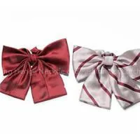 Momen’s Bow Tie For Job