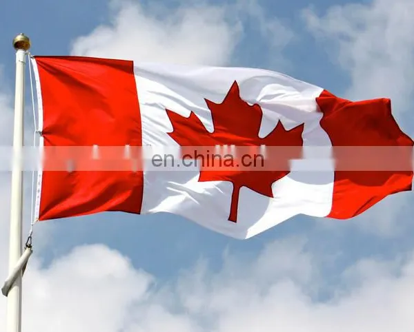 Word National Flag, Polyester Custom Printed Flag photo-6