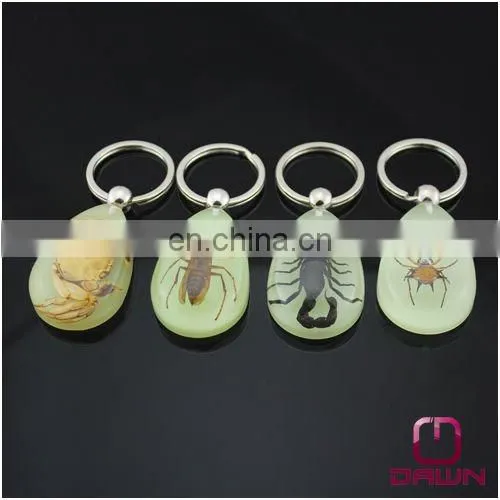 Luminous Real Insects Amber Keychain With Scorpion