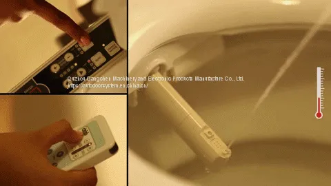 HM800 Ceramic Big Size Auto Flush Bathroom Intelligent Toilet photo-4