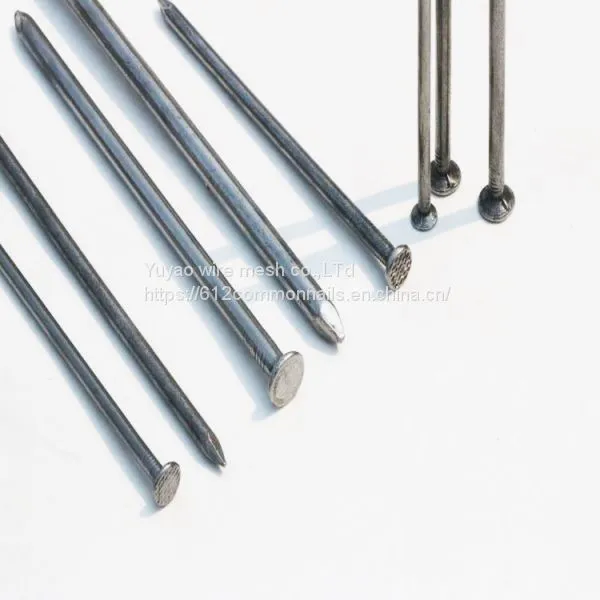7.2mm Head Size Low Price Common Polished Nails photo-4
