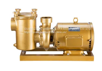 High Speed Swimming Pool Brass Water Pump,swimming Pool Equipment photo-3