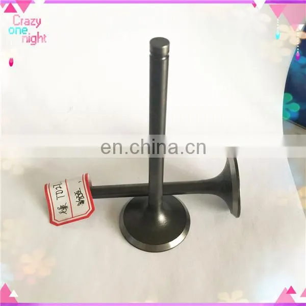 Motorbikes Spare Parts Engine Valves for Tvs Apache 180 Mileage Brs Rtr 200 photo-5