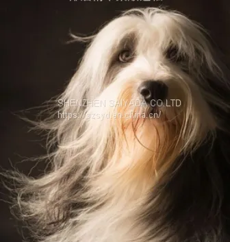 Shampoos for Dogs Wholesale Dog Shampoo photo-4