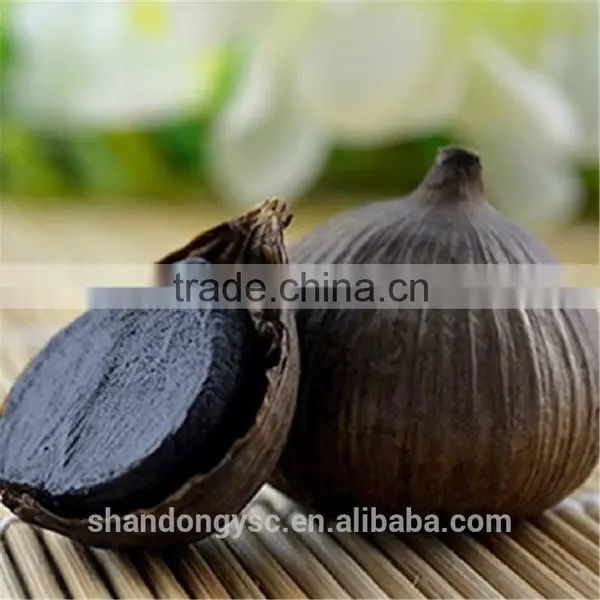 China Garlic Factory Offers Best Natural Black Garlic Price photo-4