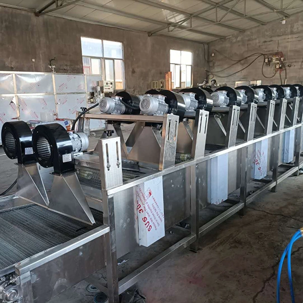 Tunnel Continuous Leisure Product Packaging Bag Air Dryer Fruit Drying Machine For Home photo-2