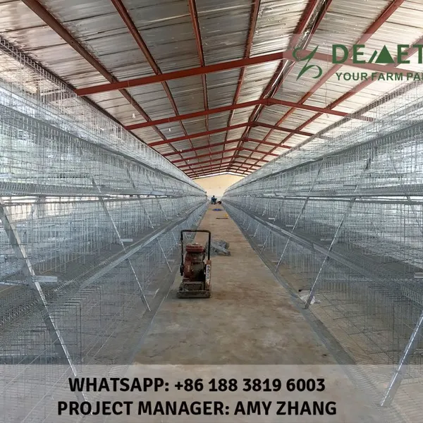 Battery Type Cage photo-5