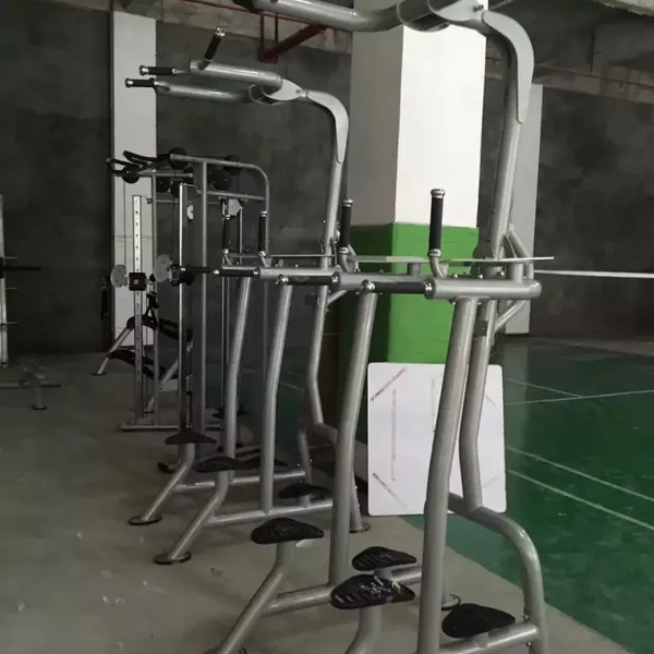 Fitness Tree Commercial Gym Equipment Vertical Leg Raise Machine photo-3