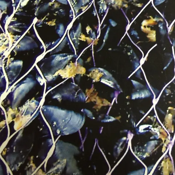 PLASTIC TUBULAR MESH NET for MUSSEL FARMING photo-3