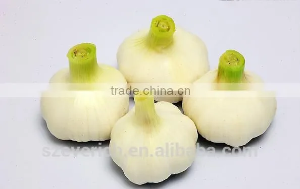 2016 NEW CROP CHINESE FRESH GARLIC ----PLACE OF ORIGIN,WE ARE FARMER photo-3