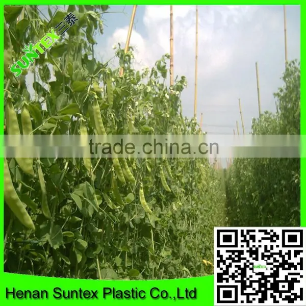 Strong Durable Trellis Netting Pea & Bean Support Net Tent Grow Net photo-5