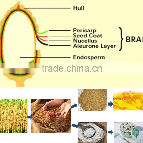 50TPD Rice Bran Oil Processing/Rice Bran Oil Mill Plant in Southeast Asia photo-6