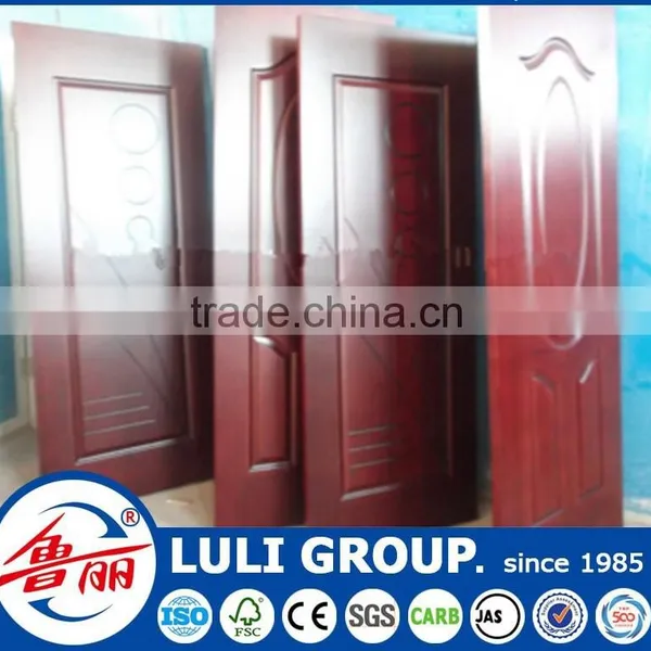 Door Skin photo-2