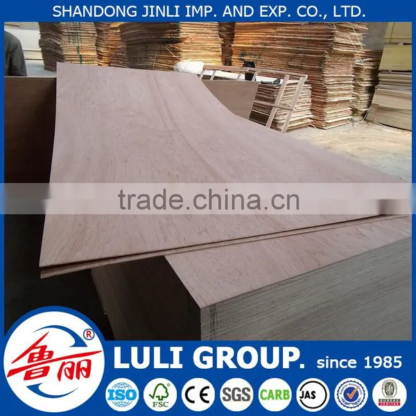 Hot Sale Door Skin Plywood photo-4