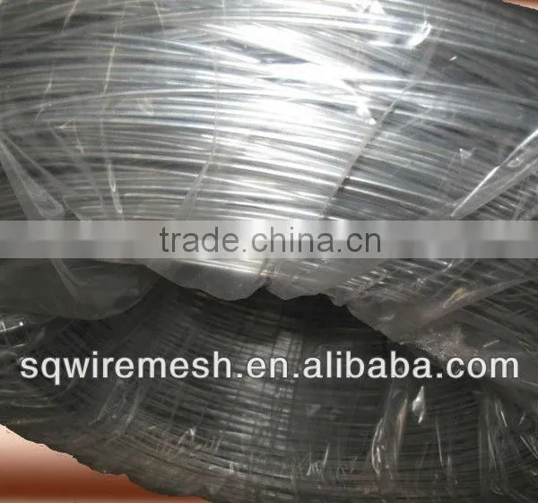 Galvanized Wire Factory /all Kinds of Galvanized Wire/ photo-2