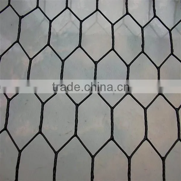 Hexagonal Wire Net Made in China Express photo-6